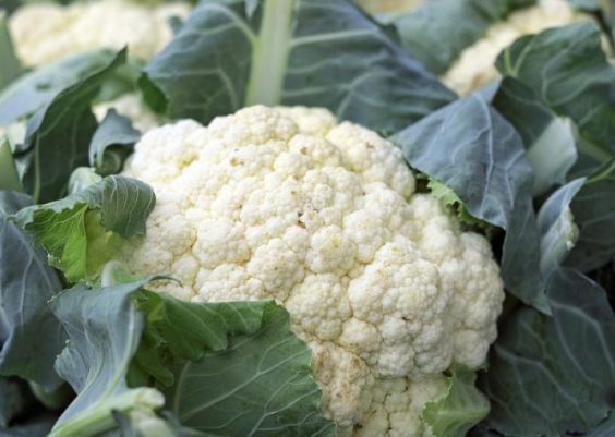 Four ways to cook with February’s seasonal cauliflower